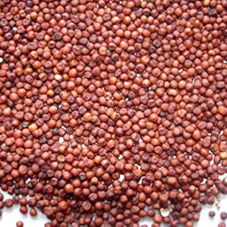 Finger Millet