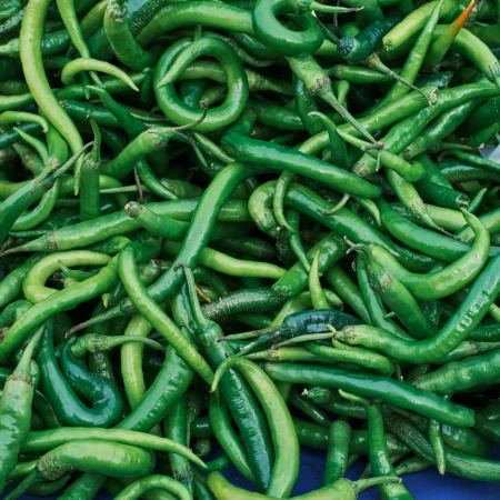 Green Chilli