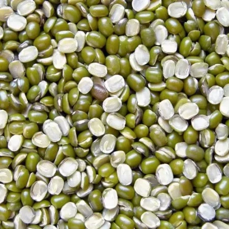Green Lentils