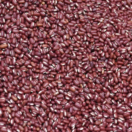 Kidney Beans